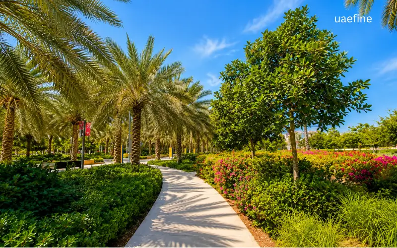 Umm Al Emarat Park Abu Dhabi