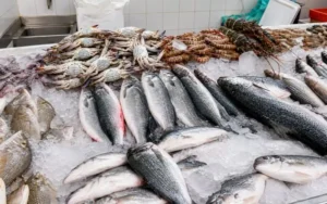 Fish and Seafood Available