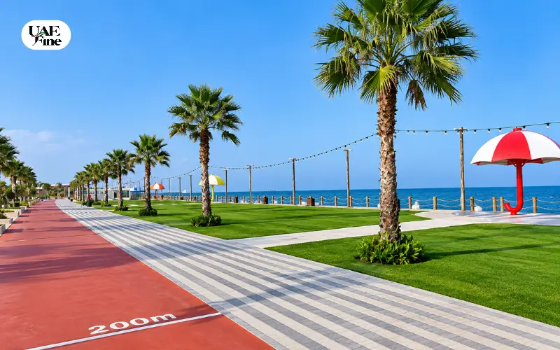 Seaside promenade with palm trees, striped walkway and ocean view.